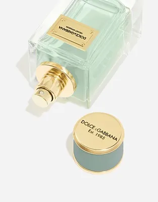 Dolce & Gabbana Velvet Infusion perfume bottle with rich amber tones A